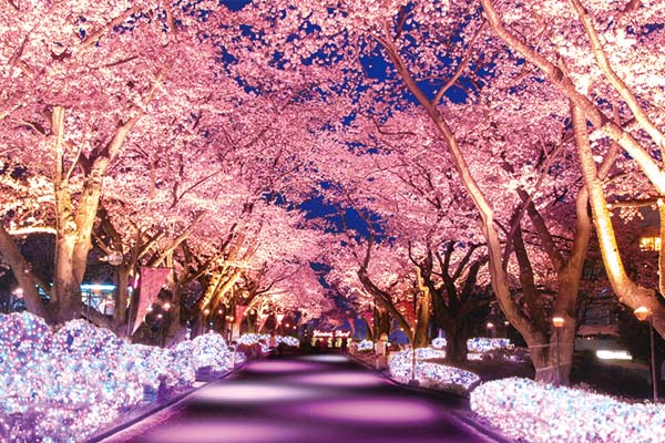 讀賣樂園連小田急交通特惠套票_Photo2