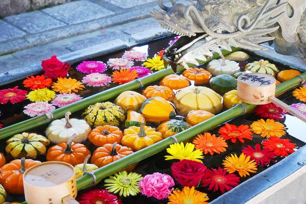 京都柳谷觀音楊谷寺